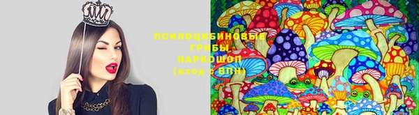 скорость Карталы