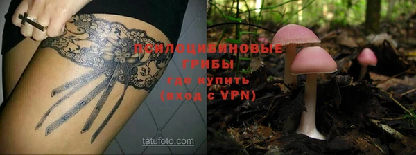 эйфоретик Касимов