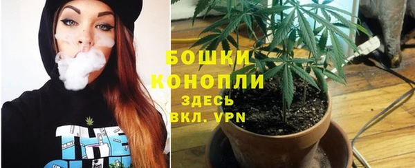 эйфоретик Касимов