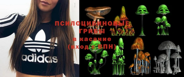 эйфоретик Касимов