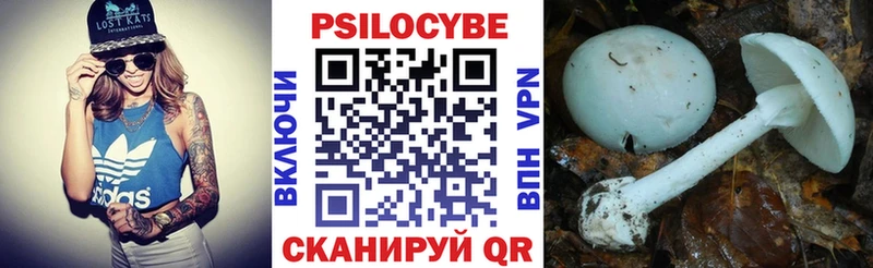 Галлюциногенные грибы Magic Shrooms  Купить где  Коммунар 
