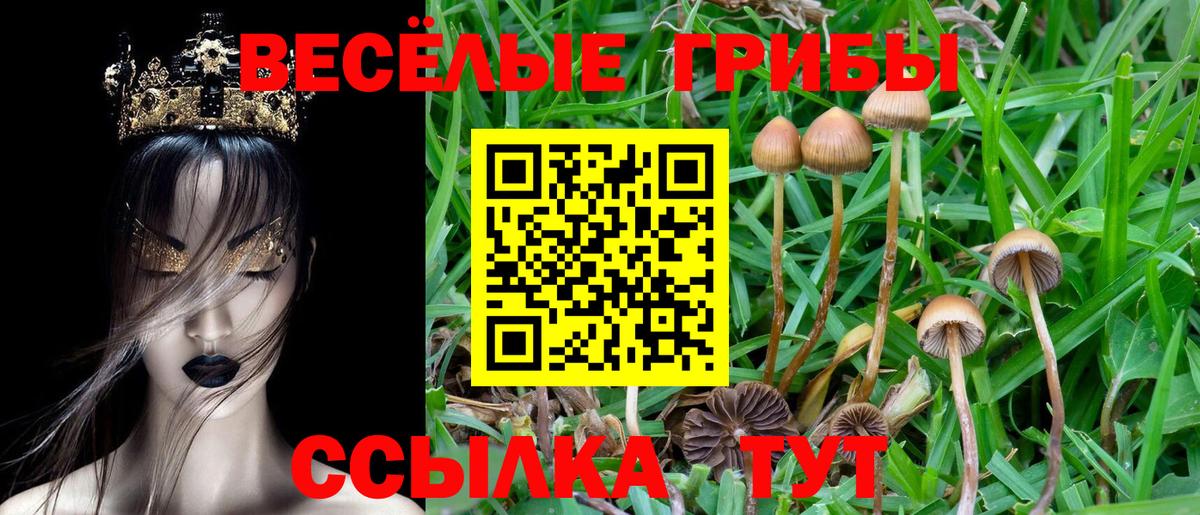 Коммунар  Галлюциногенные грибы Cubensis  Псилоцибиновые грибы GOLDEN TEACHER  Вход с VPN 