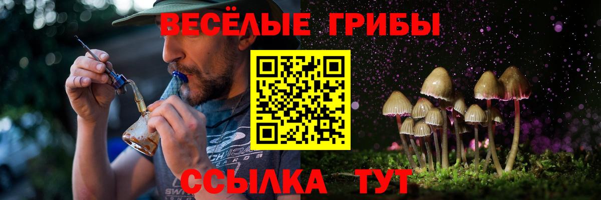 Псилоцибиновые грибы MAGIC MUSHROOMS  Галлюциногенные грибы Psilocybe  Коммунар 
