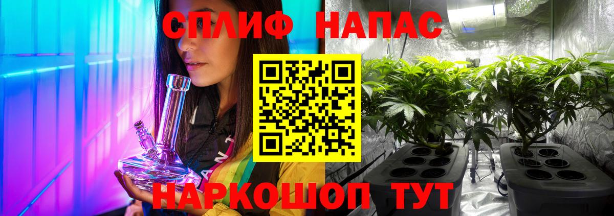 Шишки марихуана гибрид Коммунар