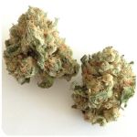 Шишки "White Widow"  (Белая вдова)  Гидропоника -  Бошка VHQ в Коммунаре